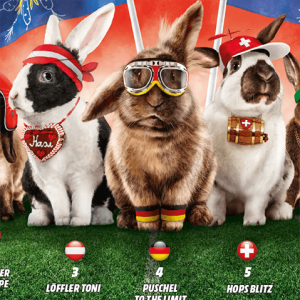 Hasenrasen Media Markt